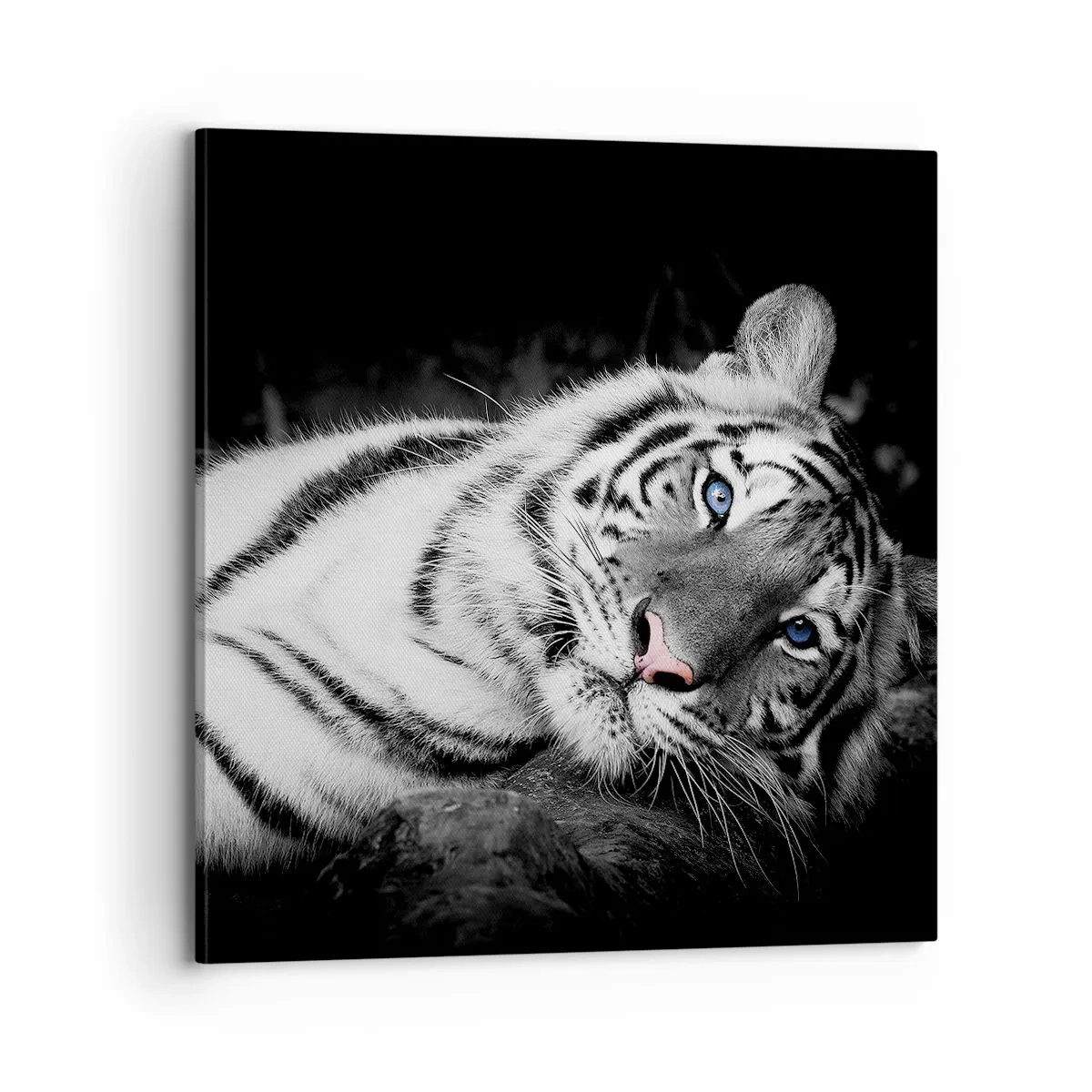 Canvastavla - Bild på duk - Vildhet och lugn - 70x70 cm