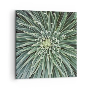 Canvastavla - Bild på duk - Stjärna föds - 60x60 cm