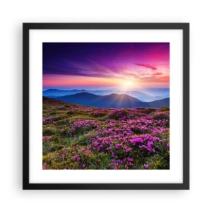 Affisch i svart ram - Doftande örter - 40x40 cm