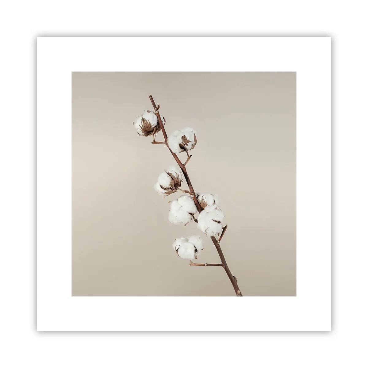 Affisch - Hos mjukhetens källa - 30x30 cm