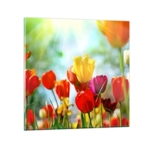 Glastavla - Bild på glas - Solens alla färger - 50x50 cm