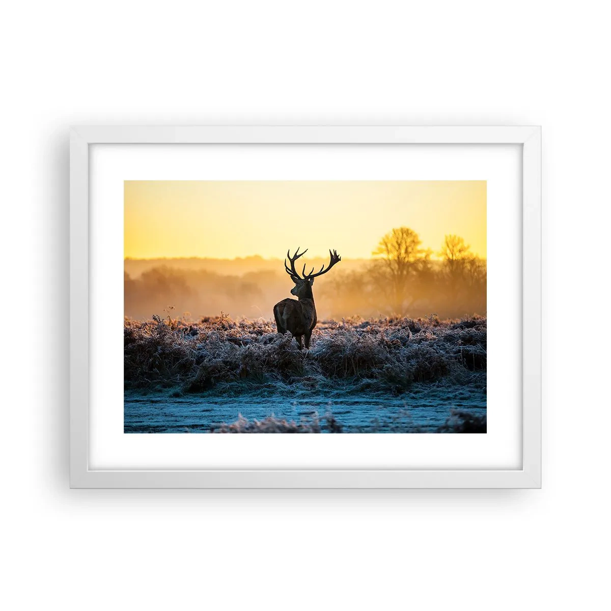 Affisch i vit ram - Krönt på sin mark - 40x30 cm