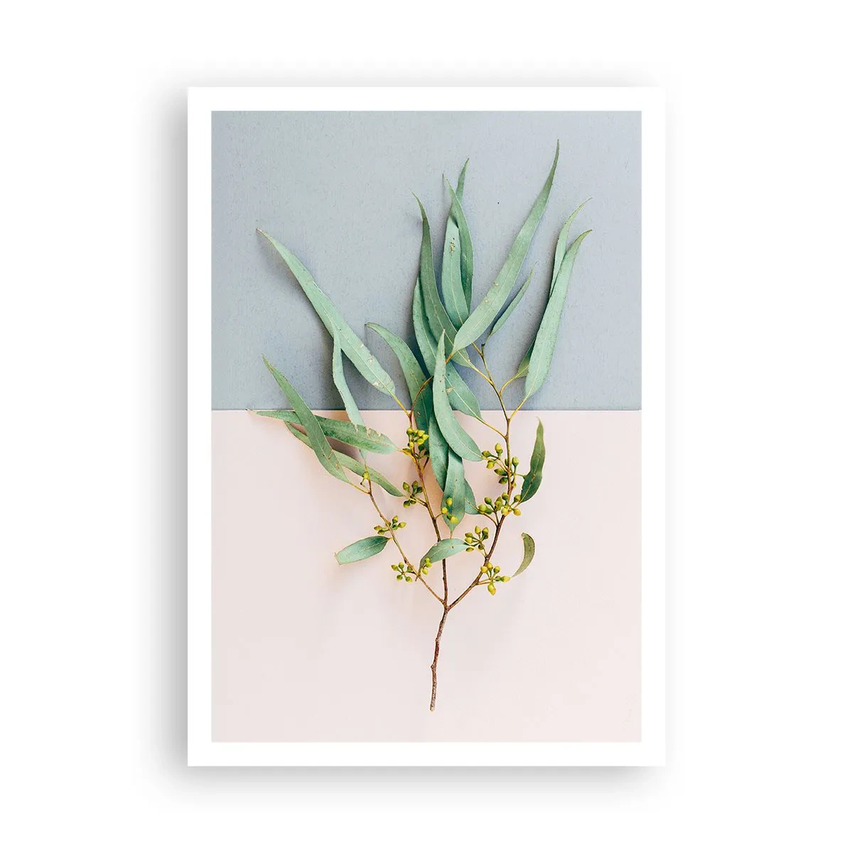 Affisch - Pastellens subtilitet - 70x100 cm