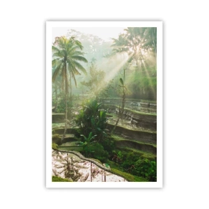 Affisch - Växa upp i solsken - 70x100 cm