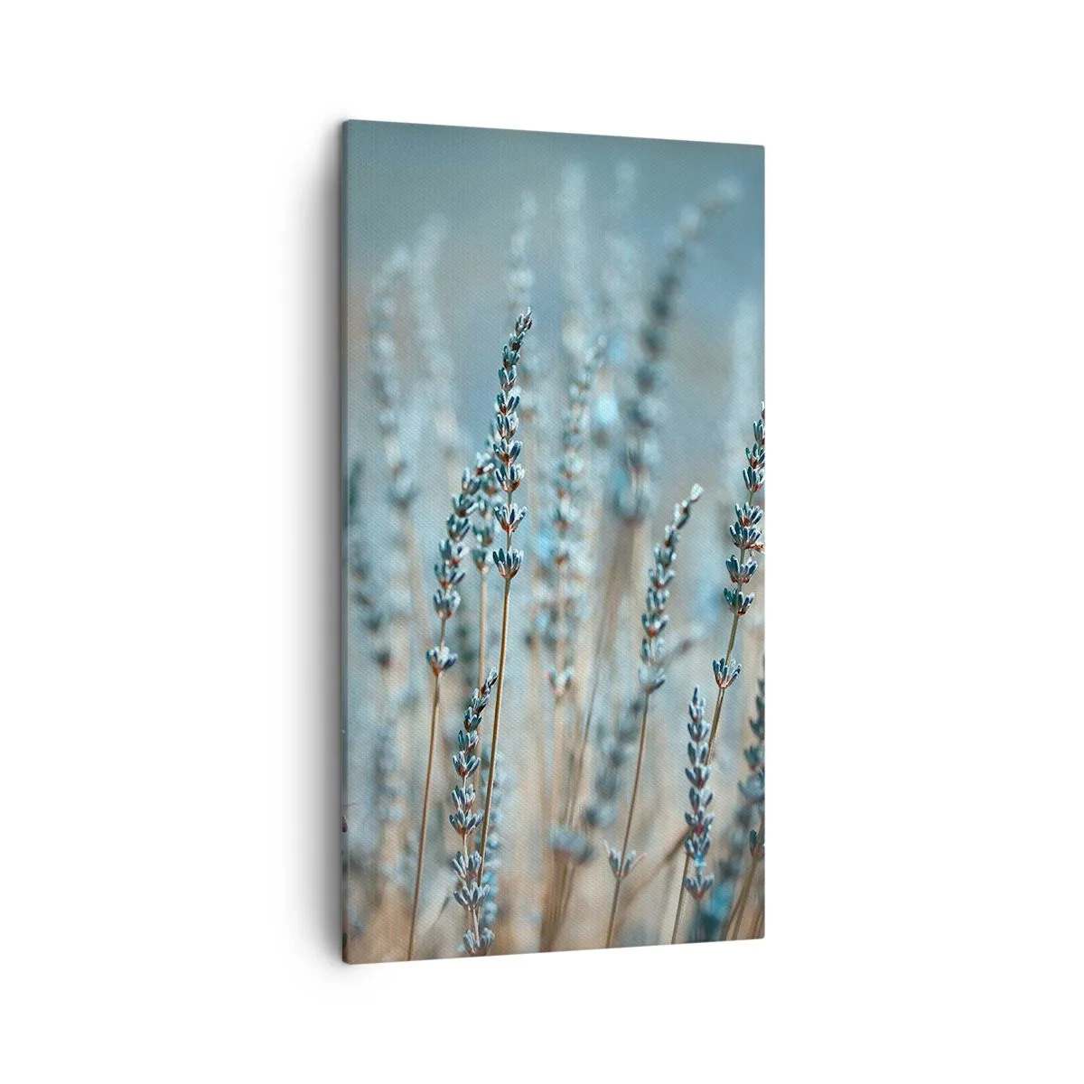 Canvastavla - Bild på duk - Doftande åkermark - 45x80 cm