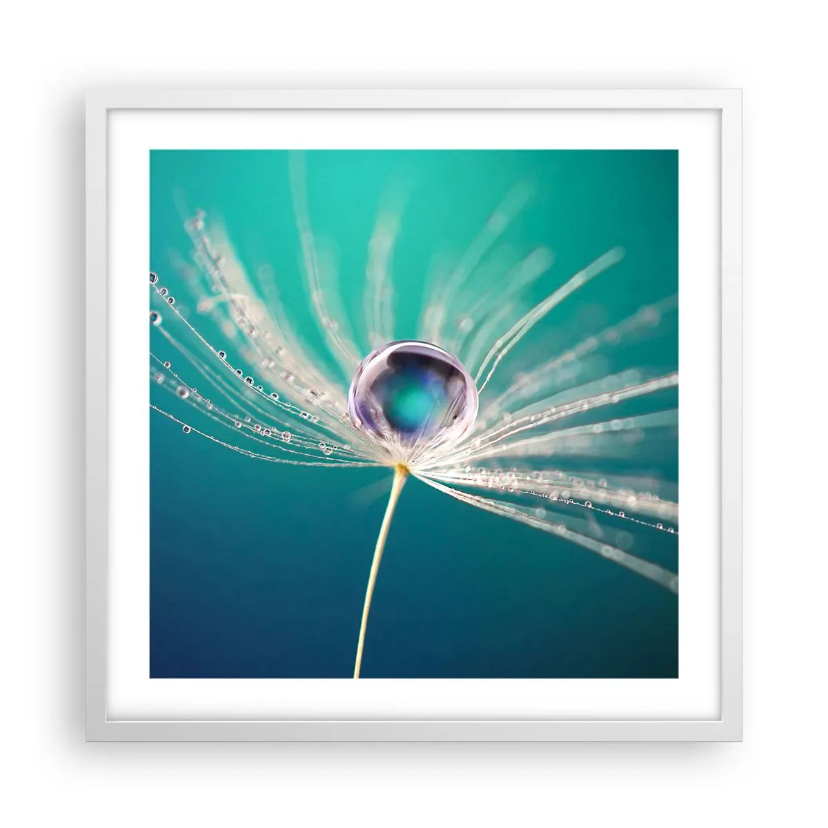 Affisch i vit ram - Mystisk stund - 50x50 cm