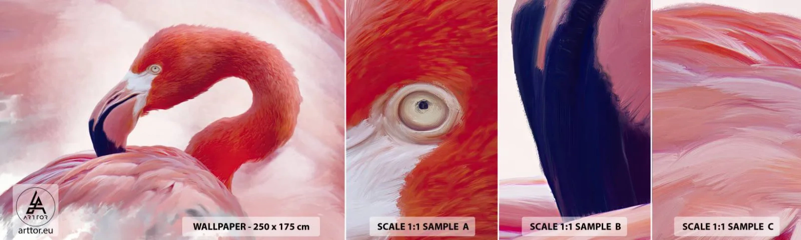 Fototapet Prov Standard Eco - Fågelns skönhet - Flamingo, Fågel, Natur - 100x30 cm