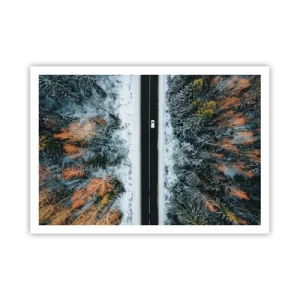 Affisch - Genom vinterskogen - 100x70 cm