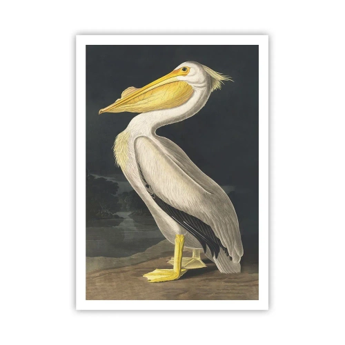 Affisch - Full av stolthet - 70x100 cm