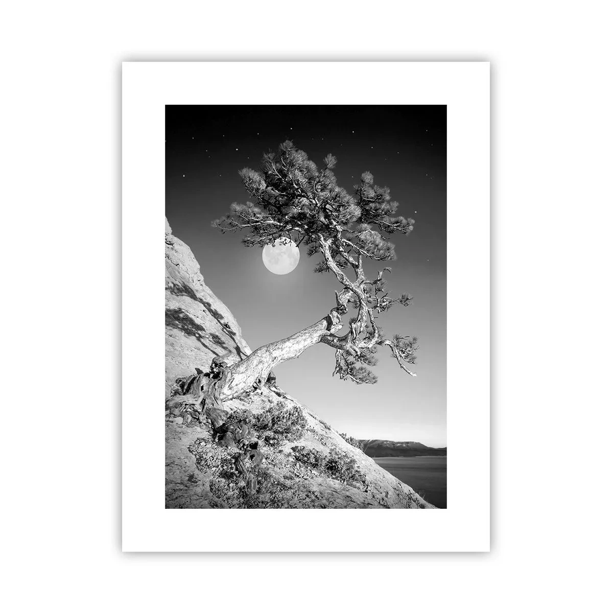 Affisch - Segerrik kämpe - 30x40 cm