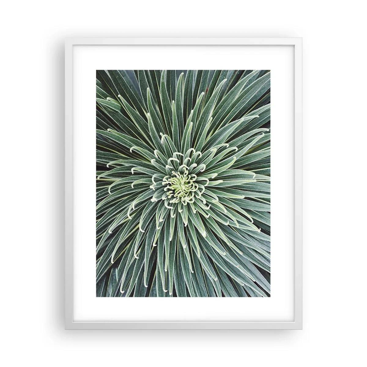 Affisch i vit ram - Stjärna föds - 40x50 cm