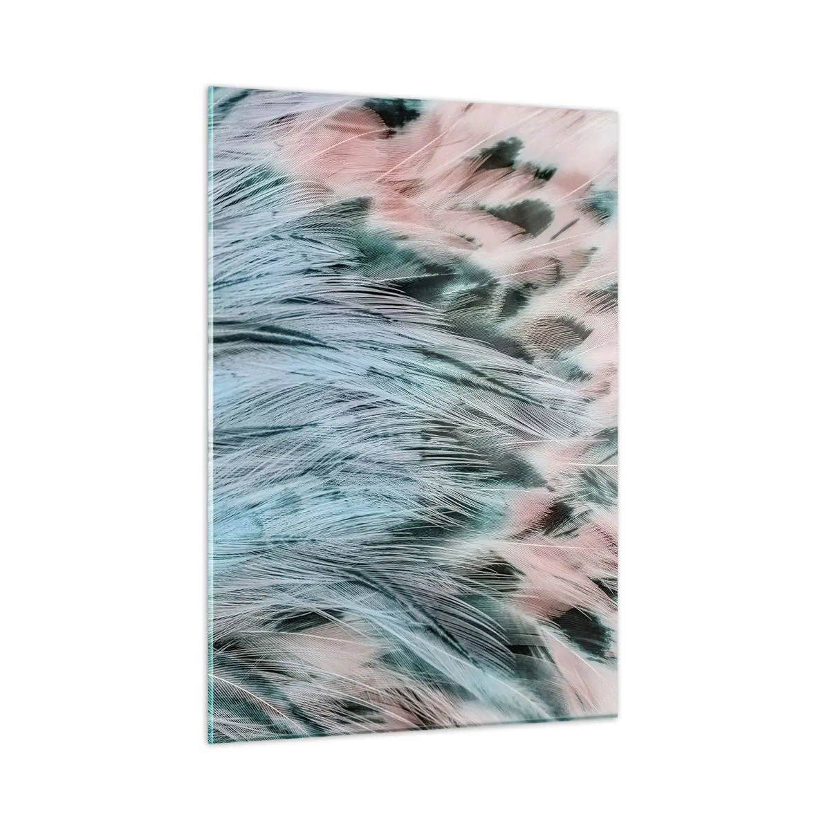 Glastavla - Bild på glas - Safir-rosa dun - 50x70 cm