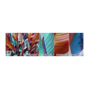 Provbit av fototapet Premium Canvas - En färgglad tätskog - Löv, Botanik, Boho - 100x30 cm