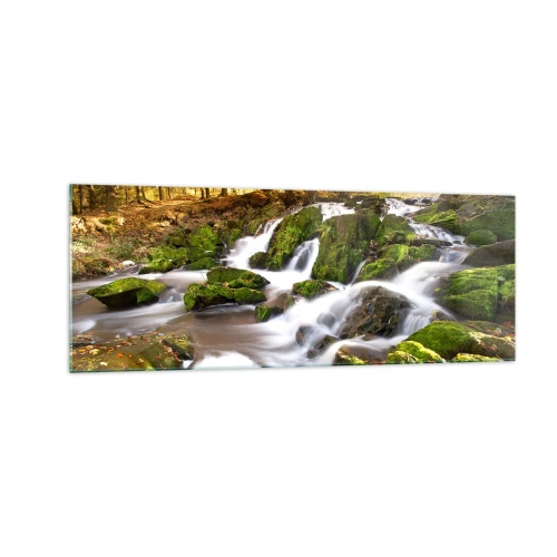 Glastavla - Bild på glas - Kvickt genom höstskogen - 140x50 cm