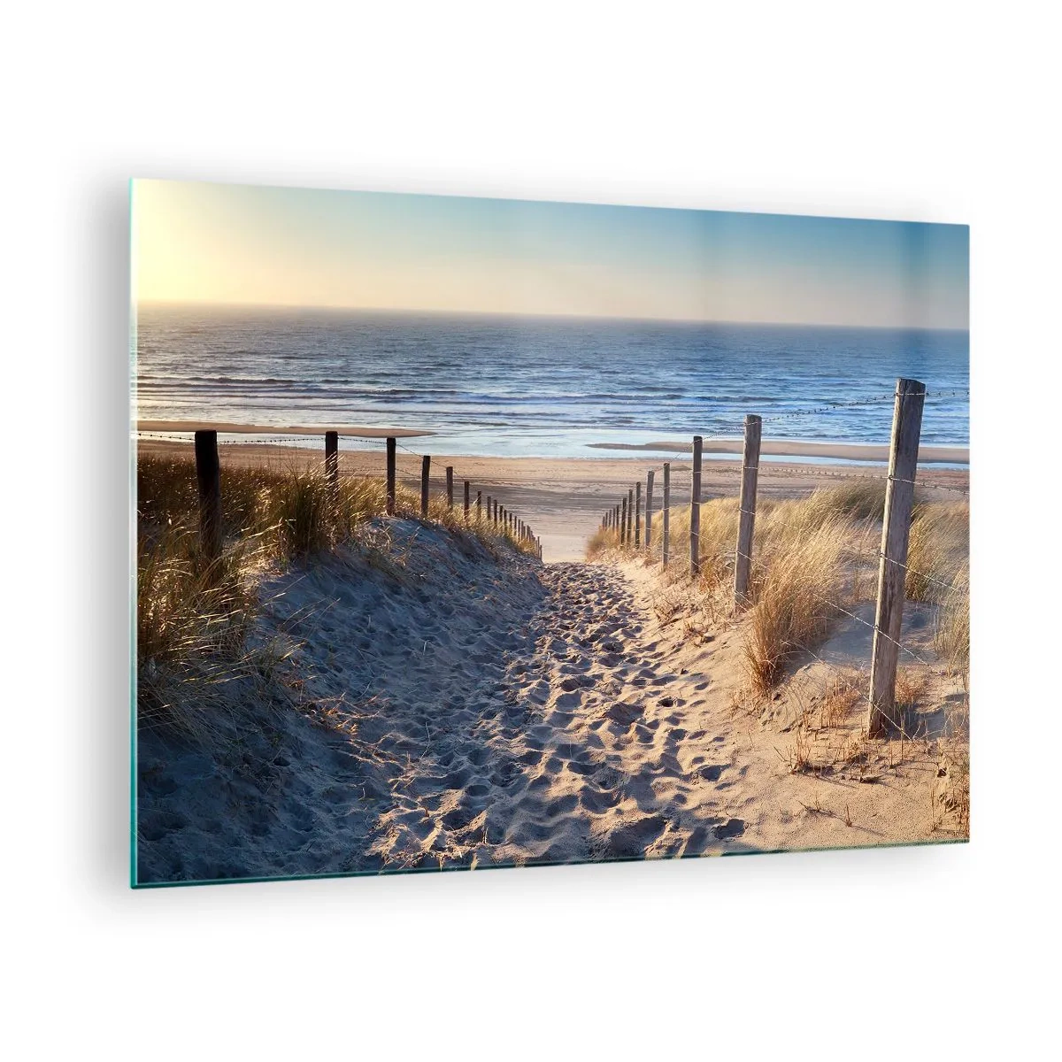 Glastavla - Bild på glas - En stig genom sanddynerna som leder till en strand med ett lugnt hav - 70x50cm - Havets brus, fågelsång, tom strand bland träden - Modern väggdekoration för vardagsrum och sovrum ARTTOR