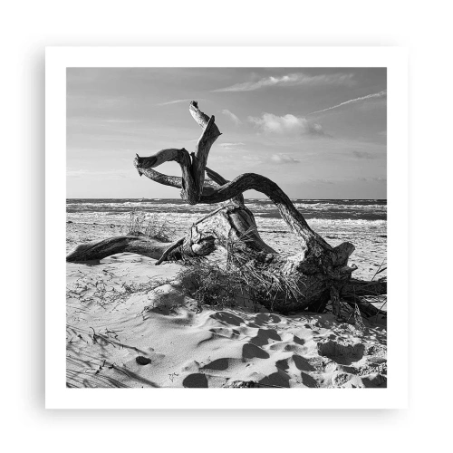Affisch - Havets skulptur - 60x60 cm