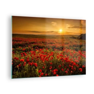Glastavla - Bild på glas - Ett vallmofält upplyst av solnedgångens strålar - 70x50cm - Bland brusande ängars vågor, bland blommornas flod - Modern väggdekoration för vardagsrum och sovrum ARTTOR