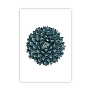 Affisch - Öknens stjärna - 70x100 cm