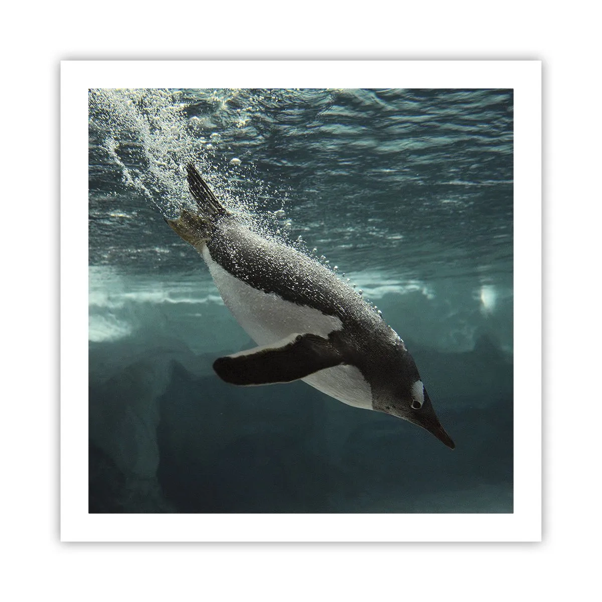 Affisch - Välkommen till min värld - 60x60 cm