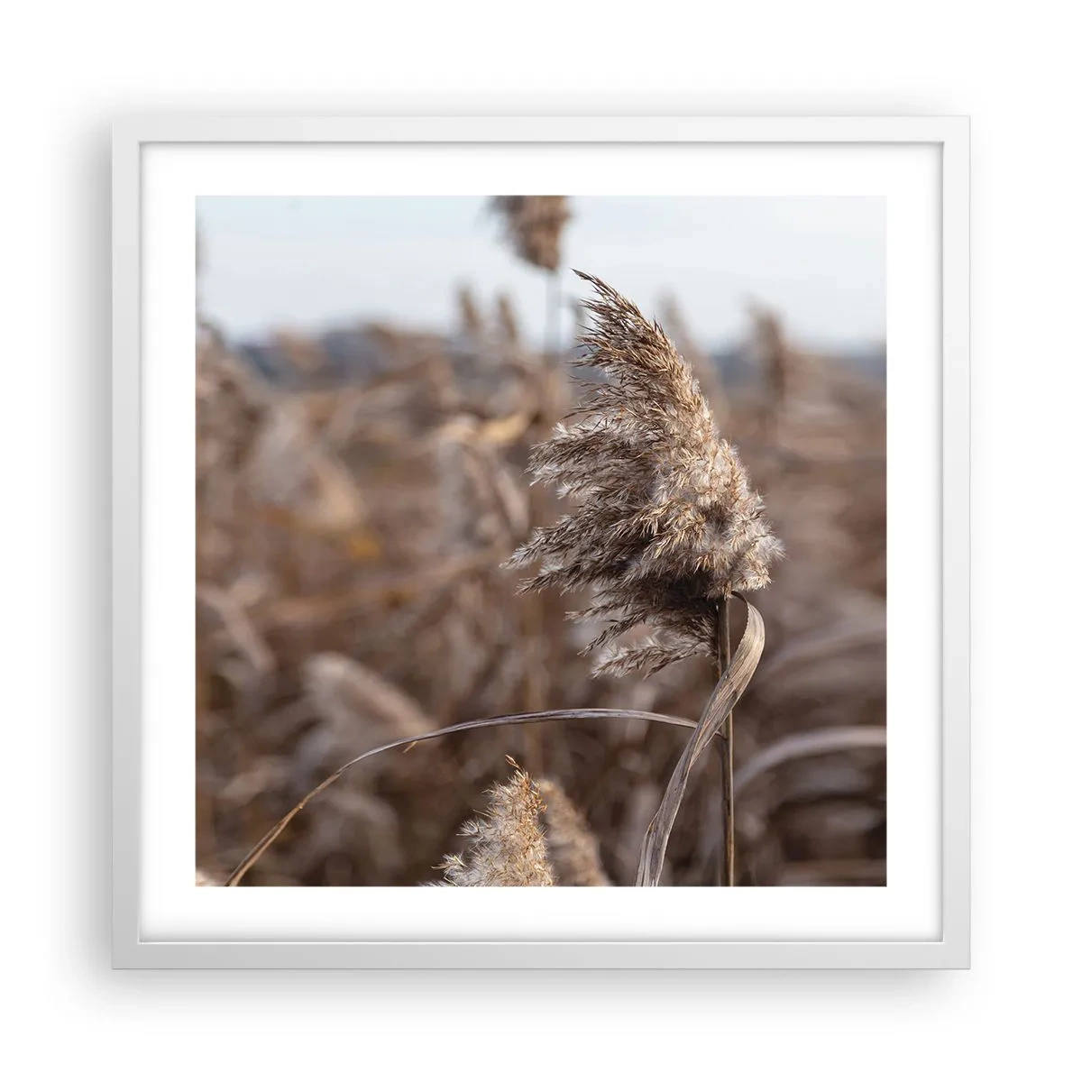 Affisch i vit ram - Dags att flyga bort med vinden - 50x50 cm