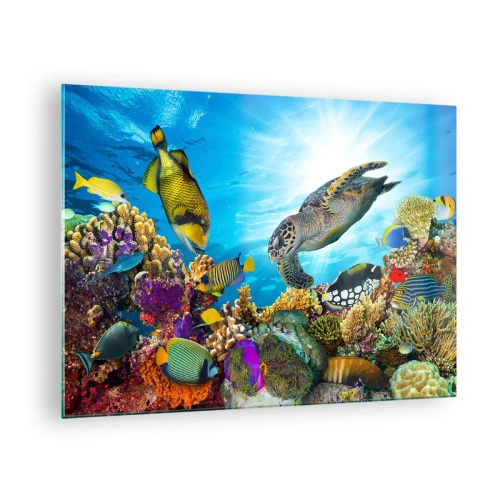 Glastavla - Bild på glas - Undervattensscen med sköldpadda, fisk och koraller - 70x50cm - Korallpromenad - Modern väggdekoration för vardagsrum och sovrum ARTTOR