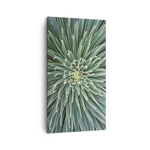 Canvastavla - Bild på duk - Stjärna föds - 45x80 cm