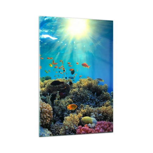 Glastavla - Bild på glas - Undervatenskatter - 70x100 cm