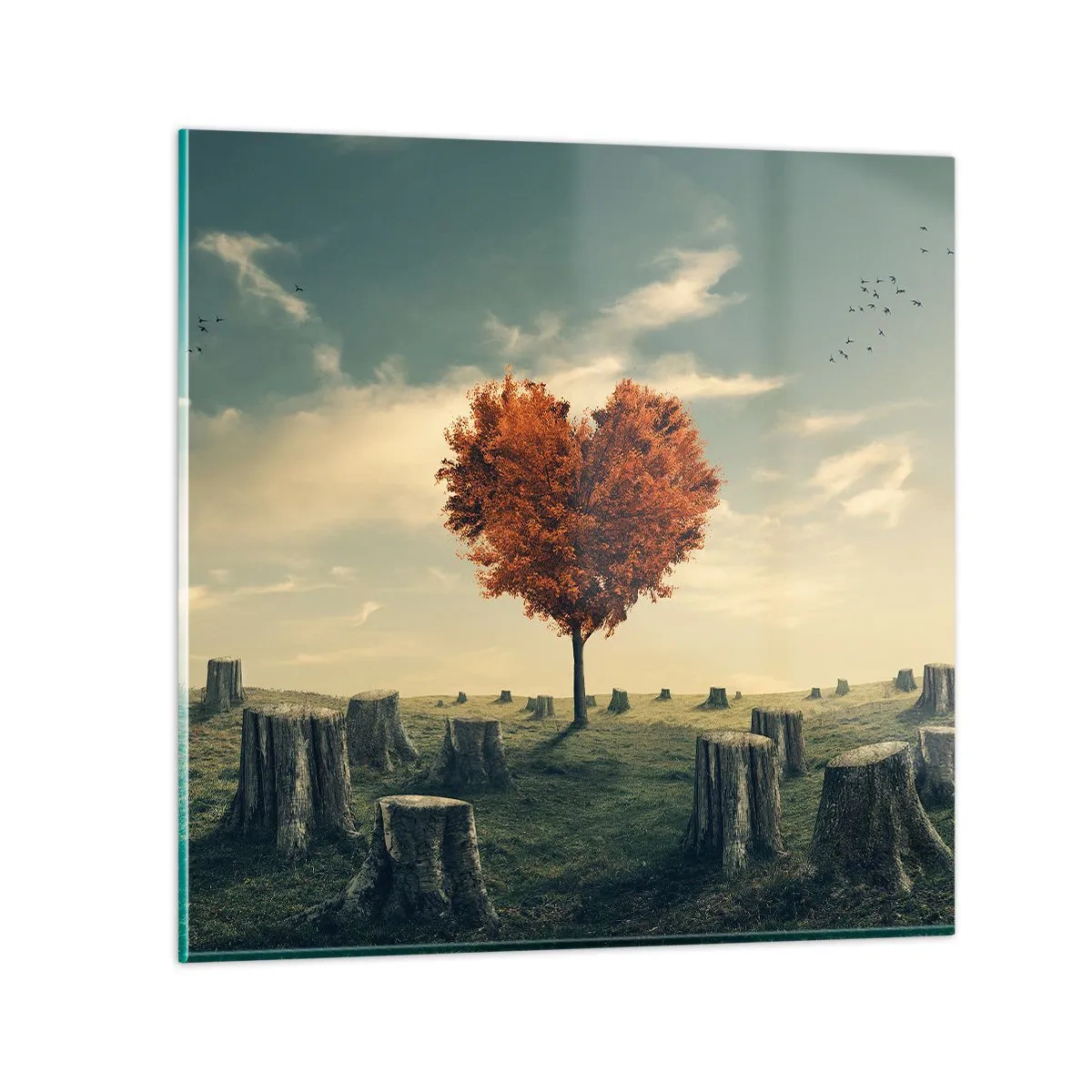 Glastavla - Bild på glas - Det finns fortfarande hopp - 60x60 cm