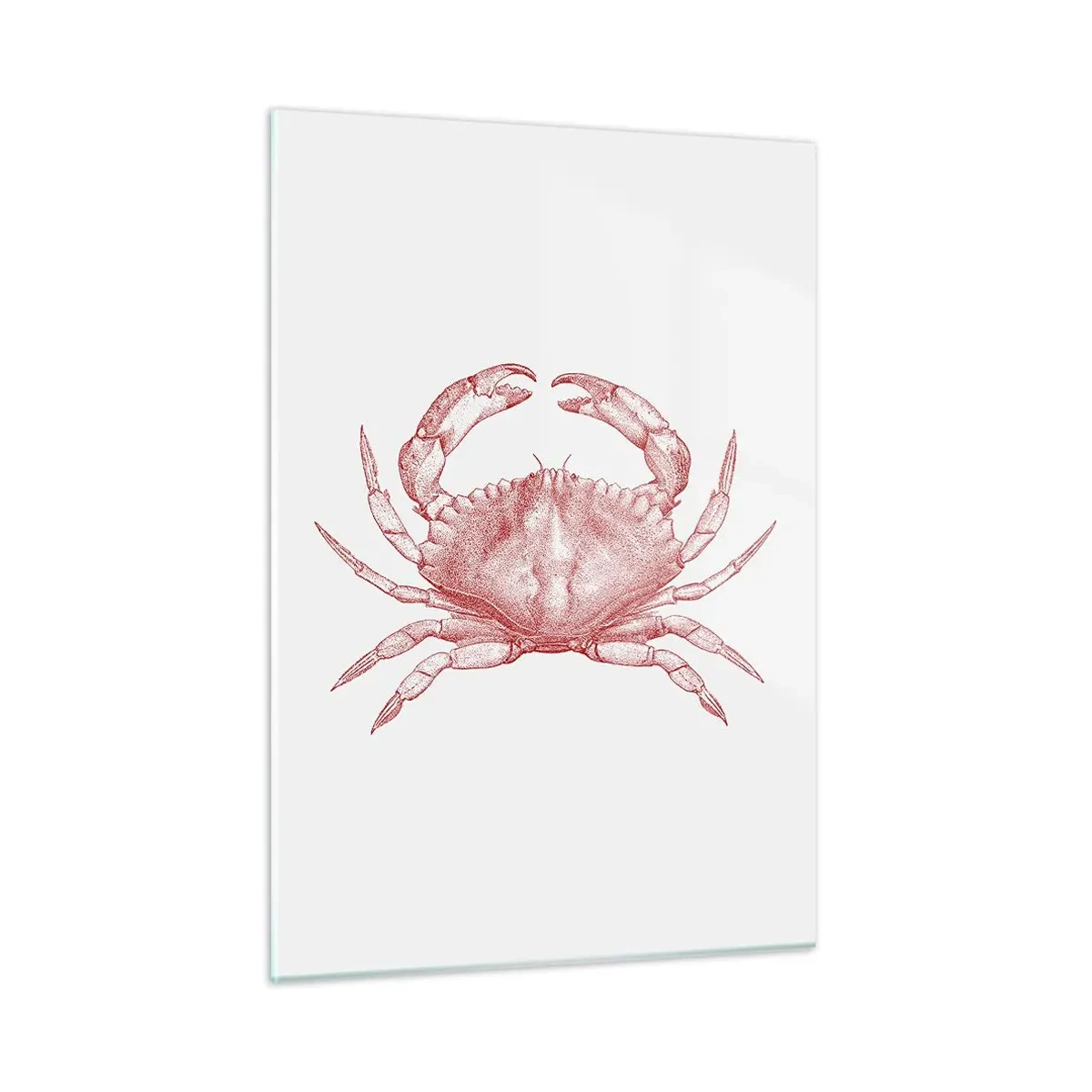 Glastavla - Bild på glas - Krabba över krabbor - 50x70 cm