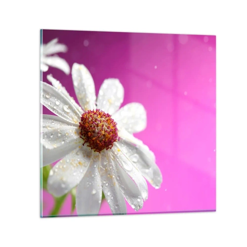Glastavla - Bild på glas - Sparsam i sin skönhet - 30x30 cm