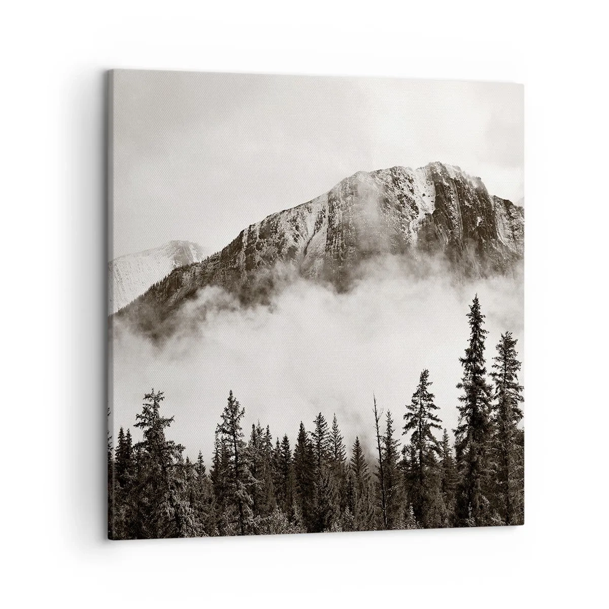 Canvastavla - Bild på duk - Granithärskare - 50x50 cm