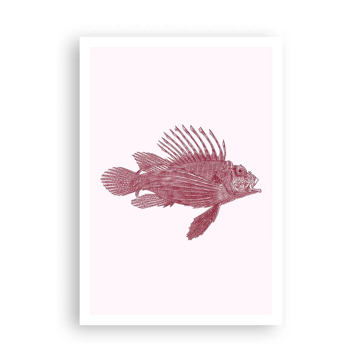 Affisch - En invånare i exotiska vatten - 70x100 cm
