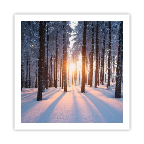 Affisch - Tydligt svart på vitt - 60x60 cm