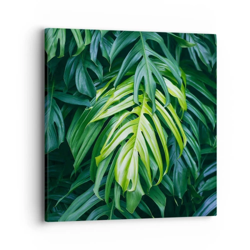 Canvastavla - Bild på duk - Doppa sig i fräschheten - 40x40 cm