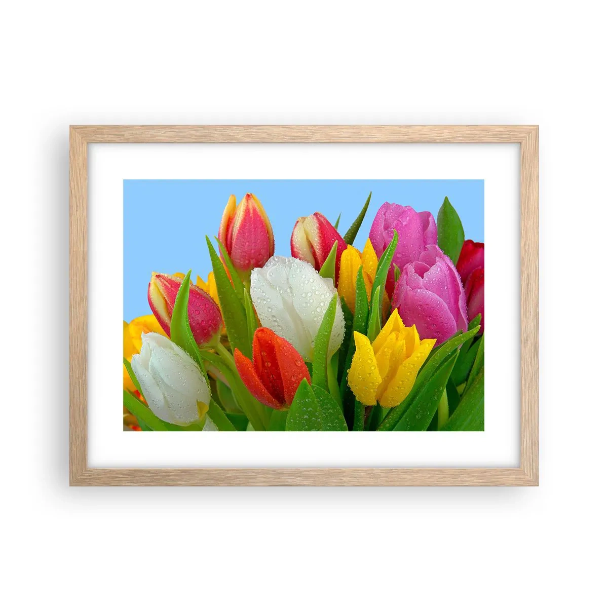 Affisch i ram av ljusek - blommig regnbåge i daggdroppar - 40x30 cm