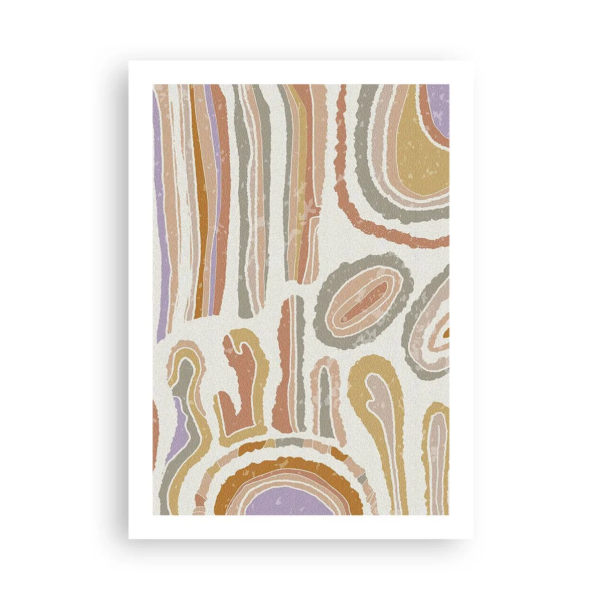 Affisch - Färgglada tvärsnitt - 50x70 cm
