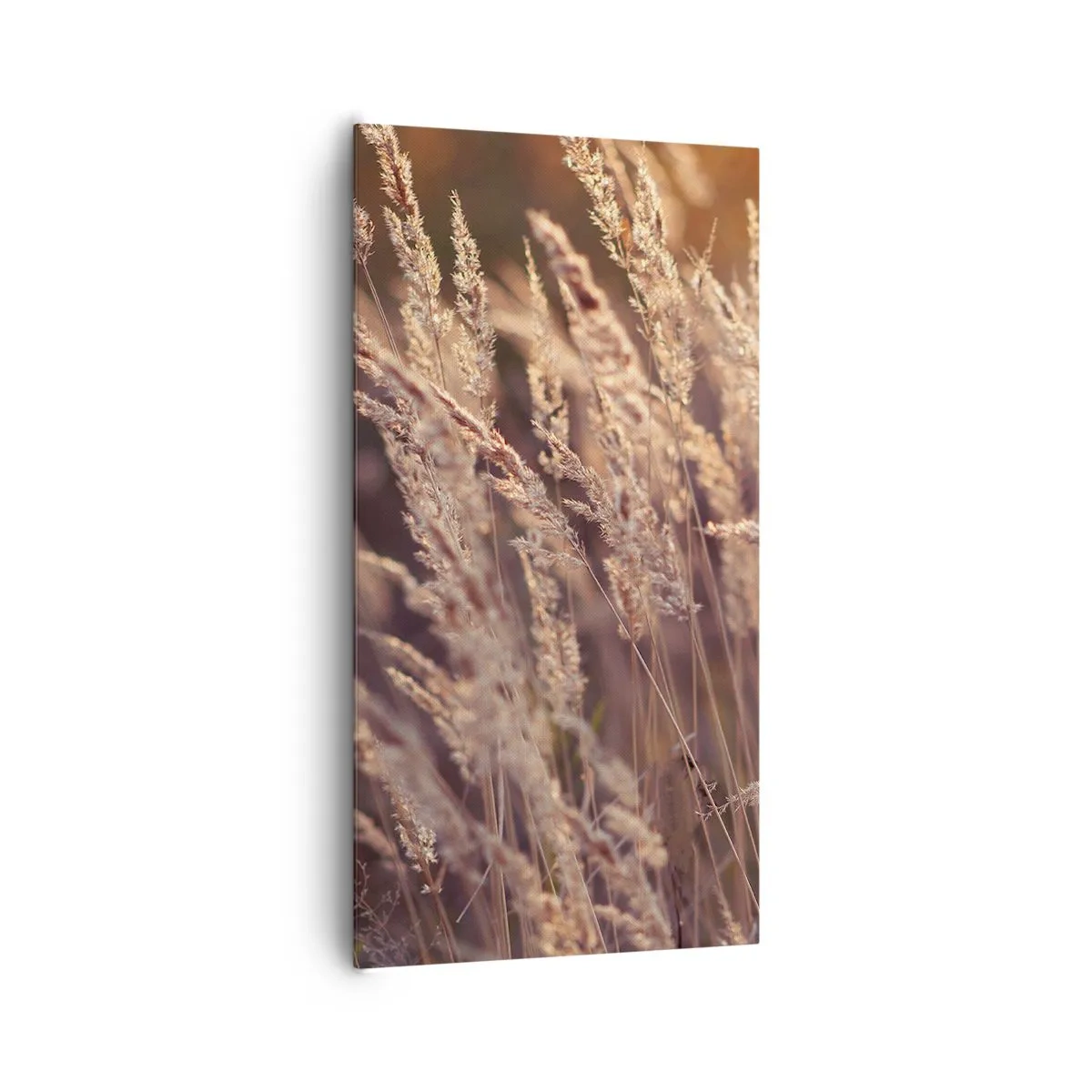 Canvastavla - Bild på duk - Redo att välkomna hösten - 65x120 cm