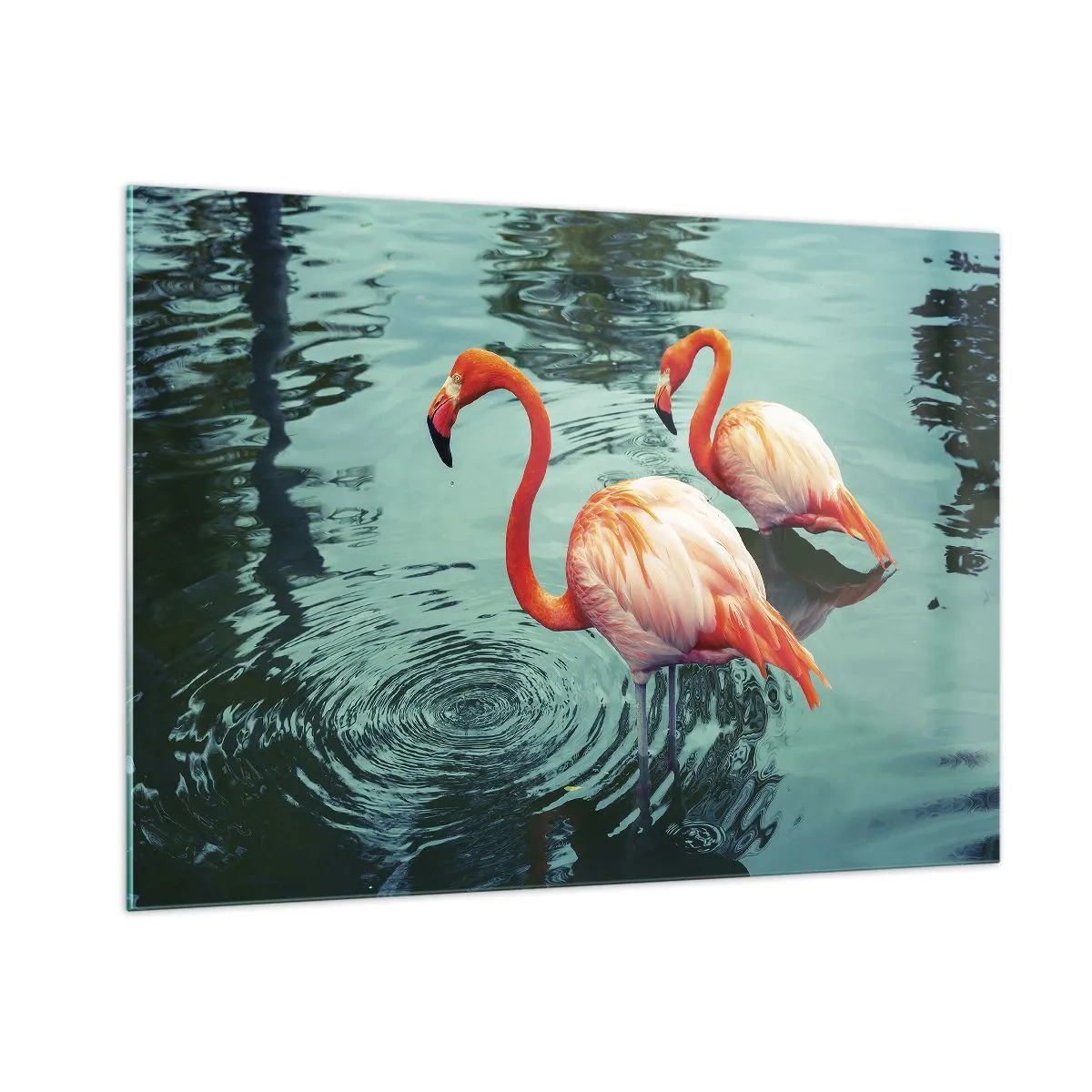Glastavla - Bild på glas - Nu är vi på modet - 100x70 cm