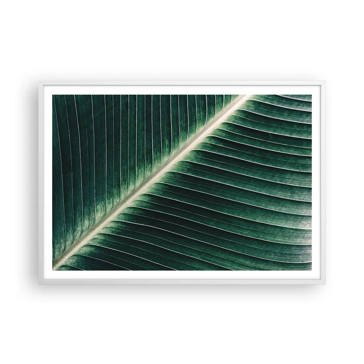 Affisch i vit ram - Naturens rytm - 100x70 cm