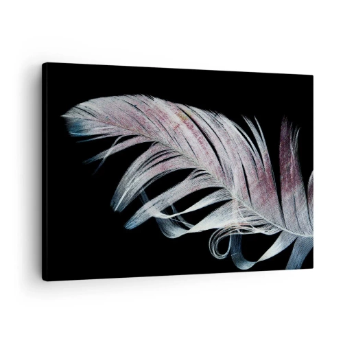 Canvastavla - Bild på duk - En delikat fjäder på svart bakgrund i ett konstnärligt tillvägagångssätt - 70x50cm - Tänk på smekning - Modern väggdekoration för vardagsrum och sovrum ARTTOR