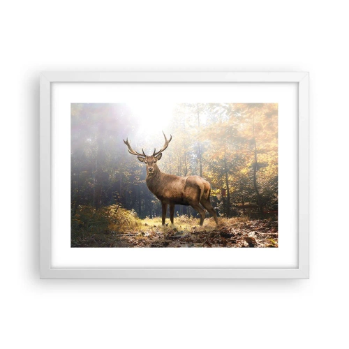Affisch i vit ram - I fullt majestät - 40x30 cm
