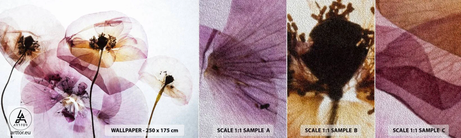 Provbit av fototapet Premium Sand - Blommornas transparenta kroppar - Blommor, Trädgård, Bit - 100x30 cm