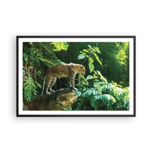 Affisch i svart ram - På jakt? - 91x61 cm