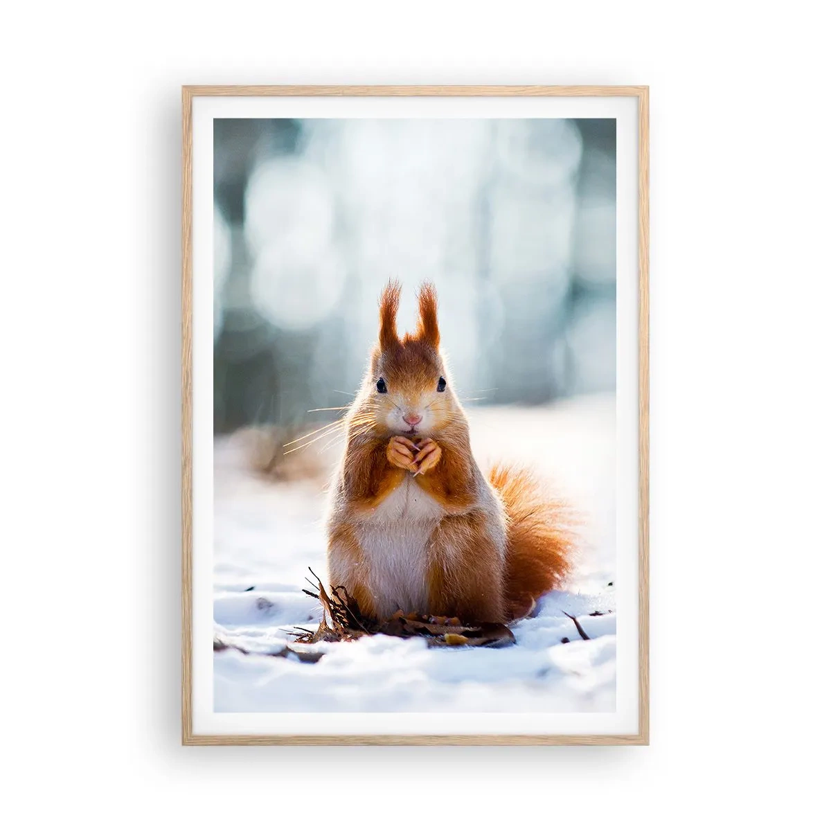 Affisch i ram av ljusek - Vad glor du på? - 70x100 cm