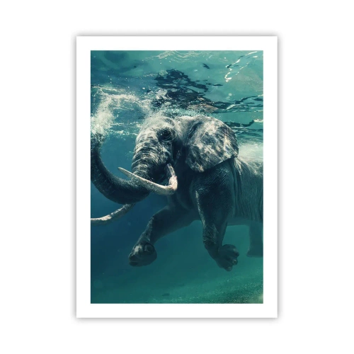 Affisch - Alla tycker om att simma - 50x70 cm