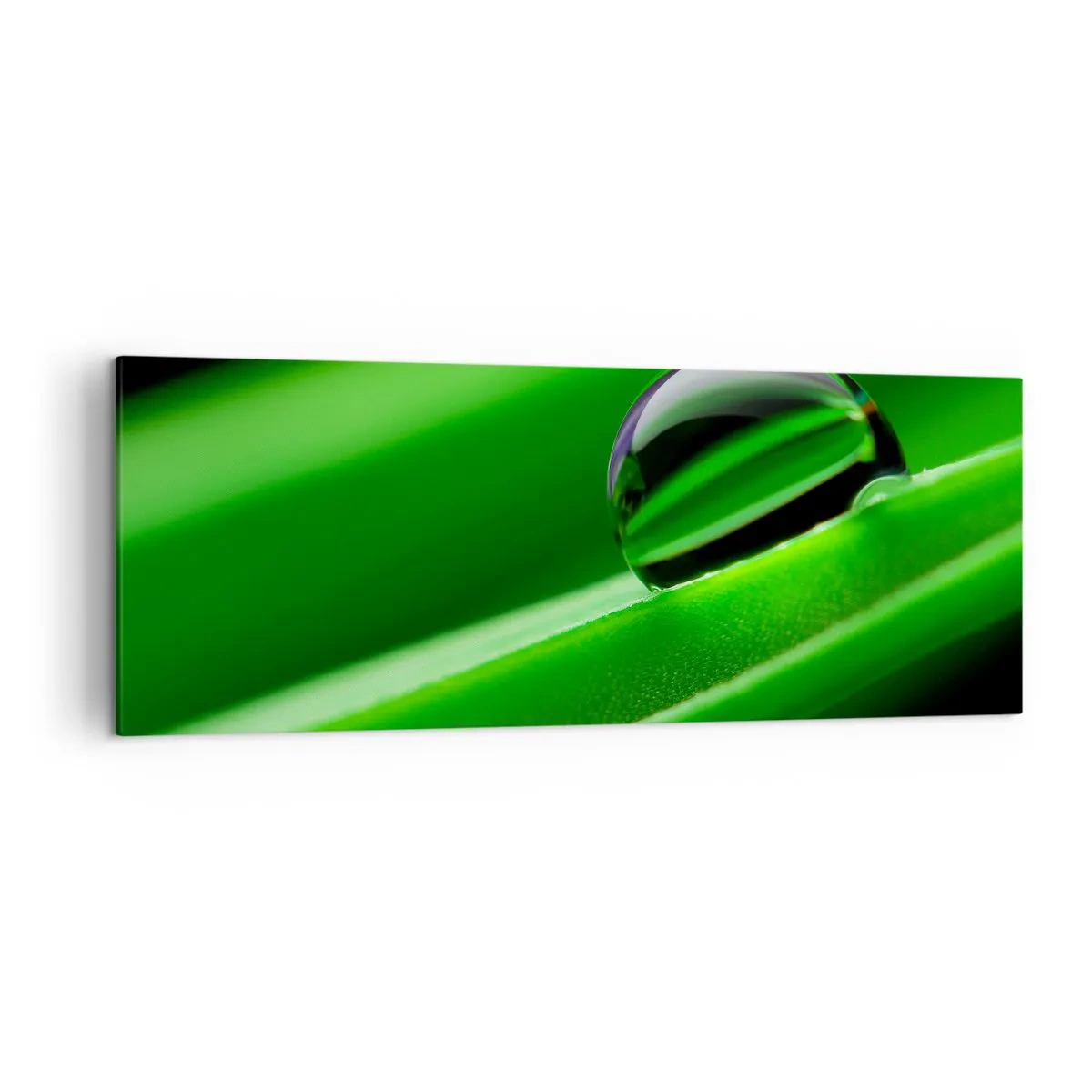 Canvastavla - Bild på duk - Livet på nära håll - 140x50 cm