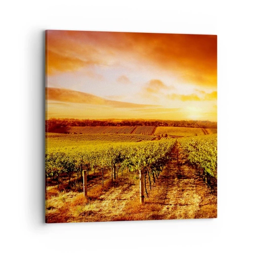 Canvastavla - Bild på duk - Fina druvor med en gnutta sol - 70x70 cm