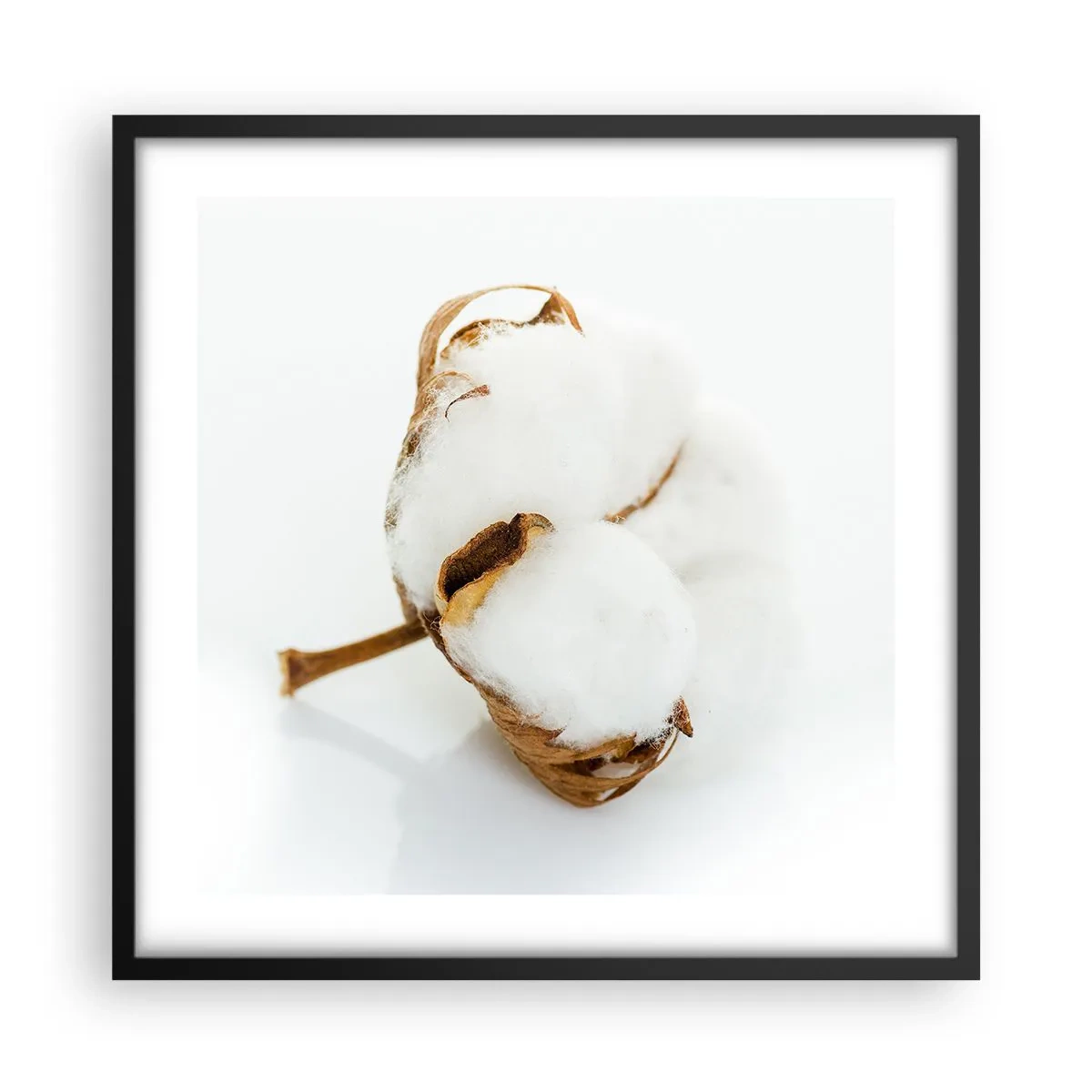 Affisch i svart ram - Mjuk av naturen - 50x50 cm