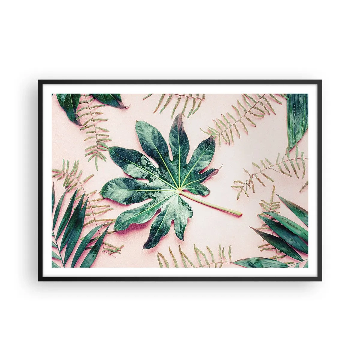 Affisch i svart ram - Grönskans studie mot rosa bakgrund - 100x70 cm