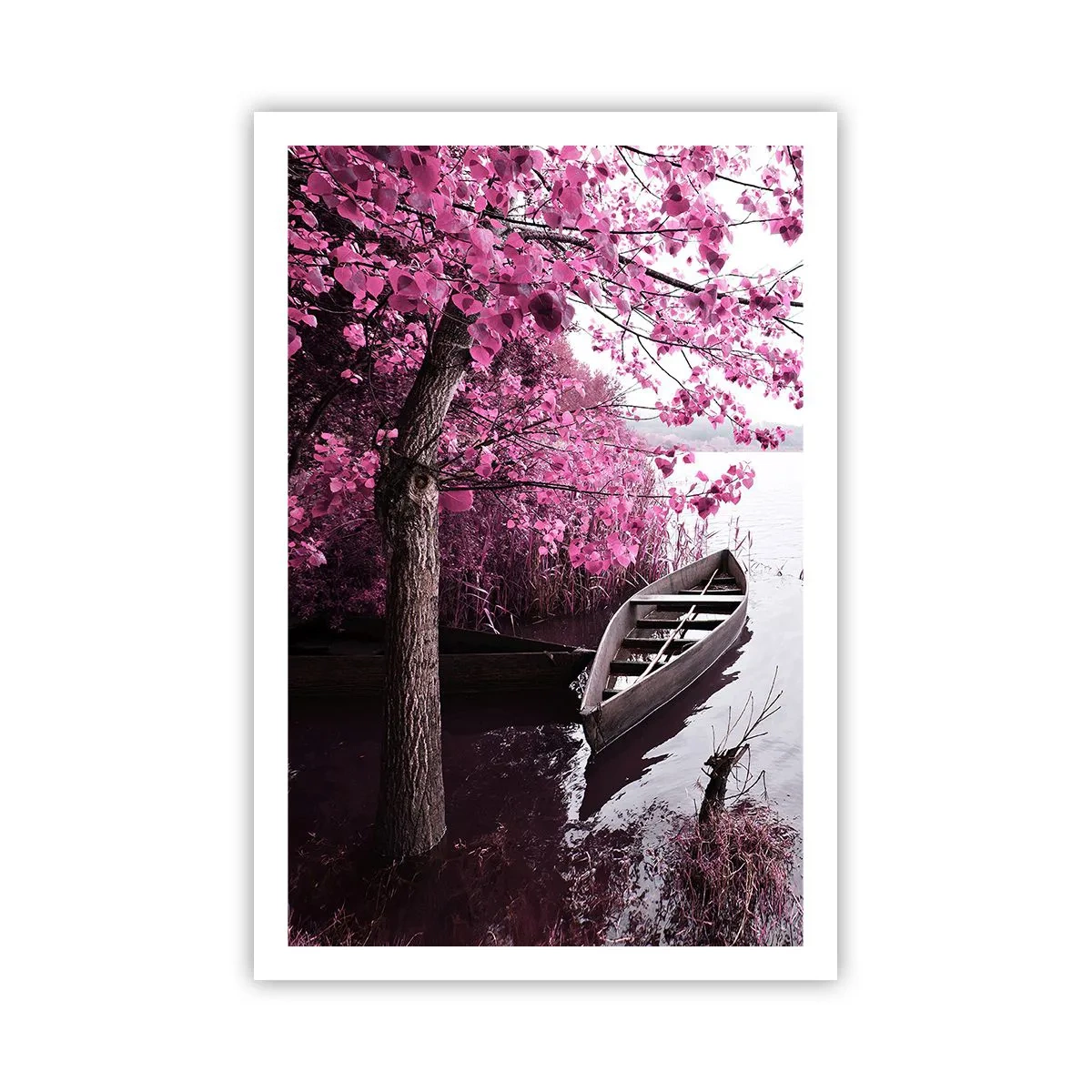 Affisch - I rosa tystnad - 61x91 cm
